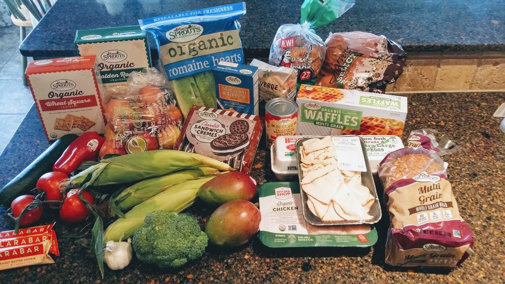 Grocery Haul on A Budget 