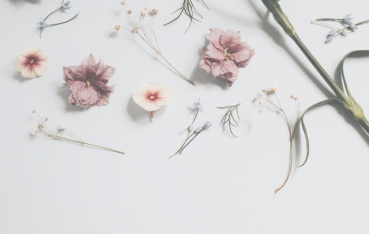 minimalist flowers