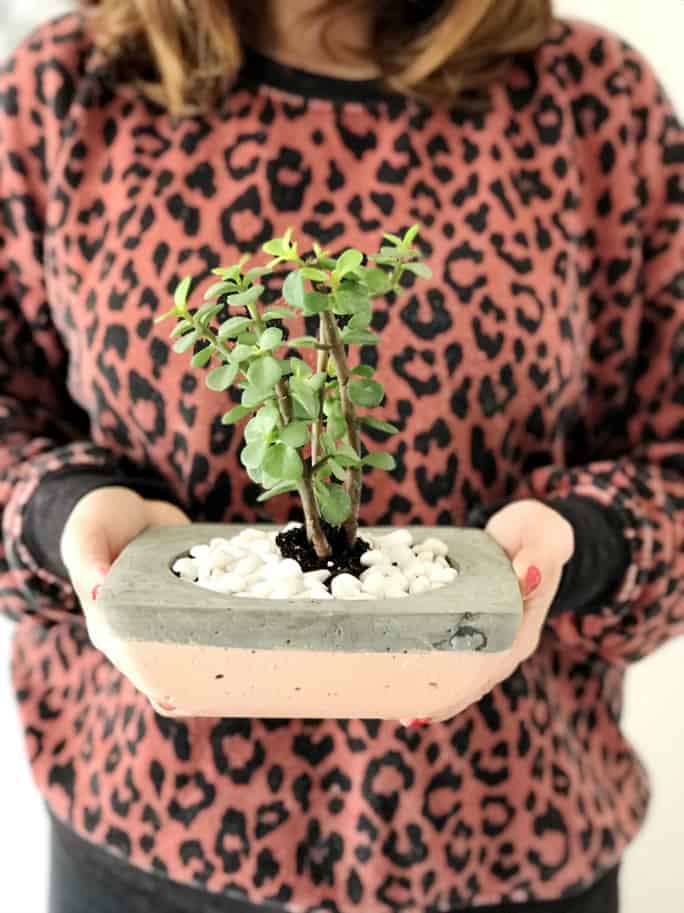 Easy Concrete Planter