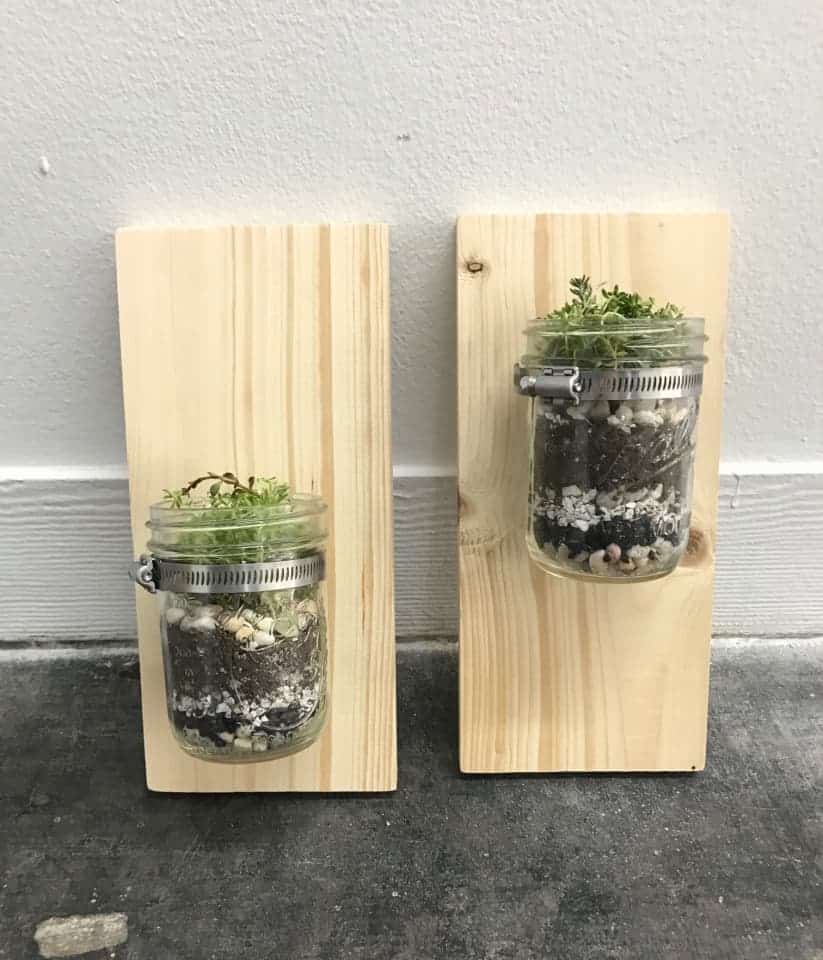 DIY Wall Mounted Mason Jar Planters