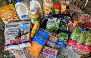 week 13 - $117 Grocery Haul And Weekly Meal Plan - Organizational Toast