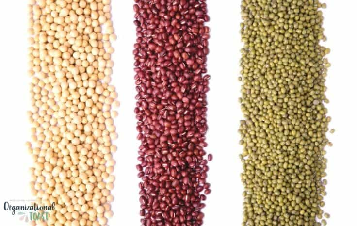 Dried beans as cheap proteins