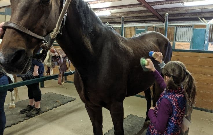 two children grooming horse