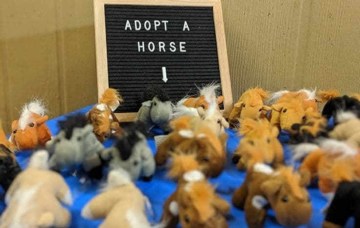 adopt a horse party favors